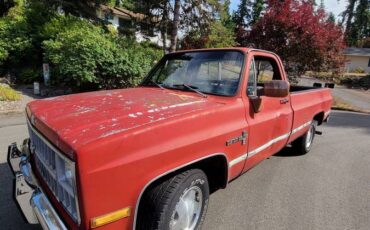 Chevrolet-silverado-1500-1981-10