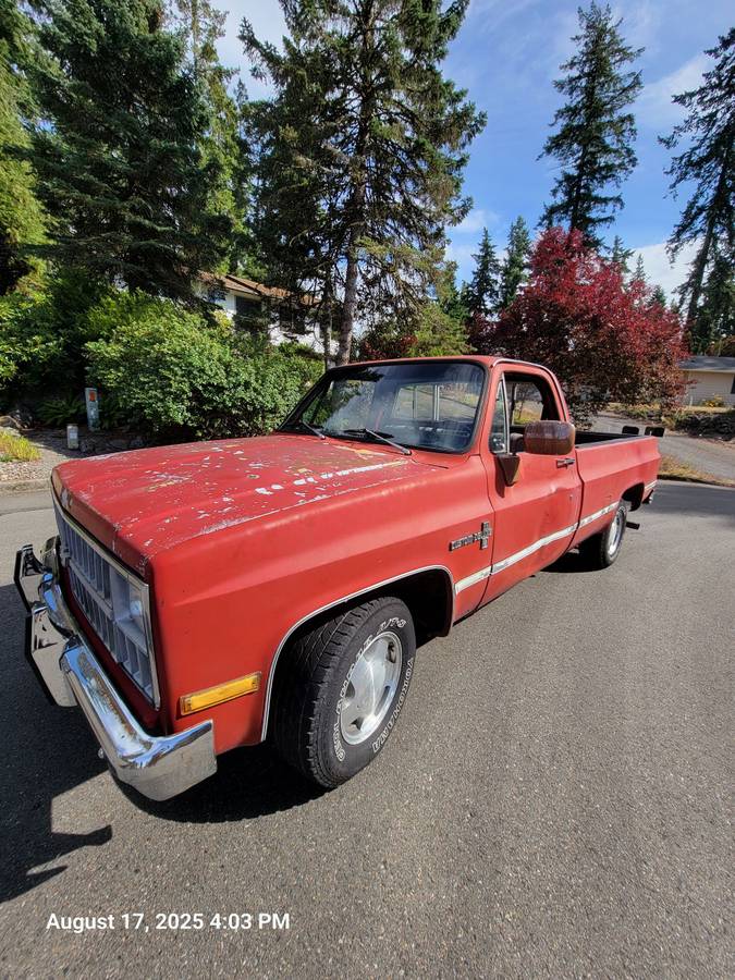 Chevrolet-silverado-1500-1981-10
