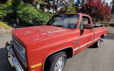 Chevrolet-silverado-1500-1981-11