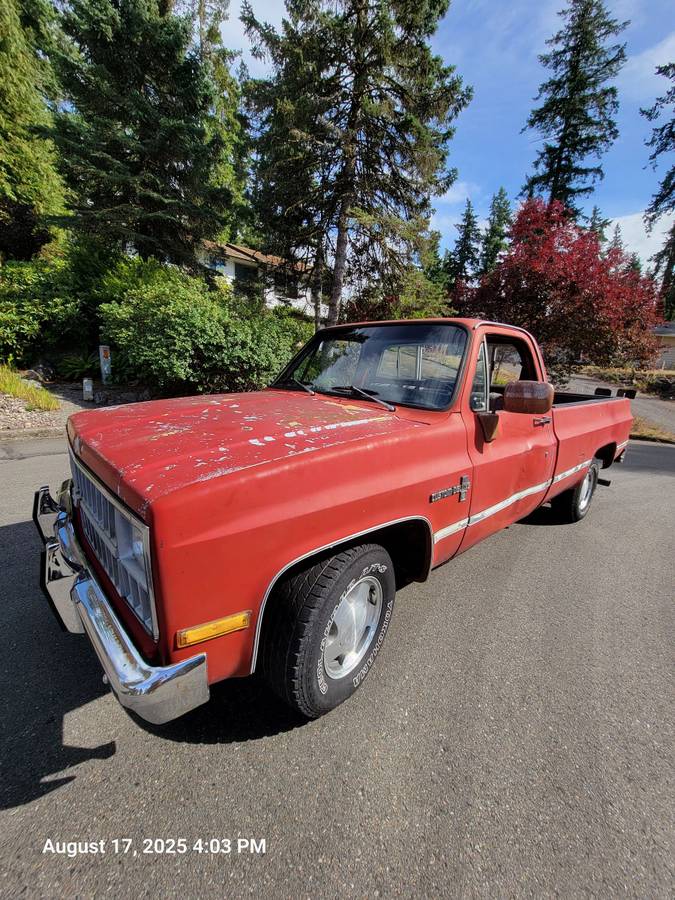 Chevrolet-silverado-1500-1981-11