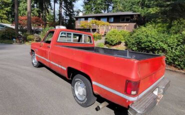 Chevrolet-silverado-1500-1981-12