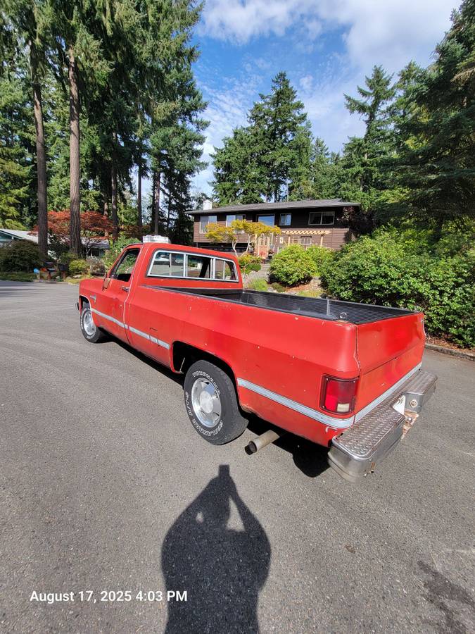 Chevrolet-silverado-1500-1981-12