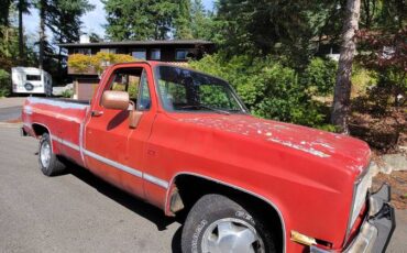 Chevrolet-silverado-1500-1981-15