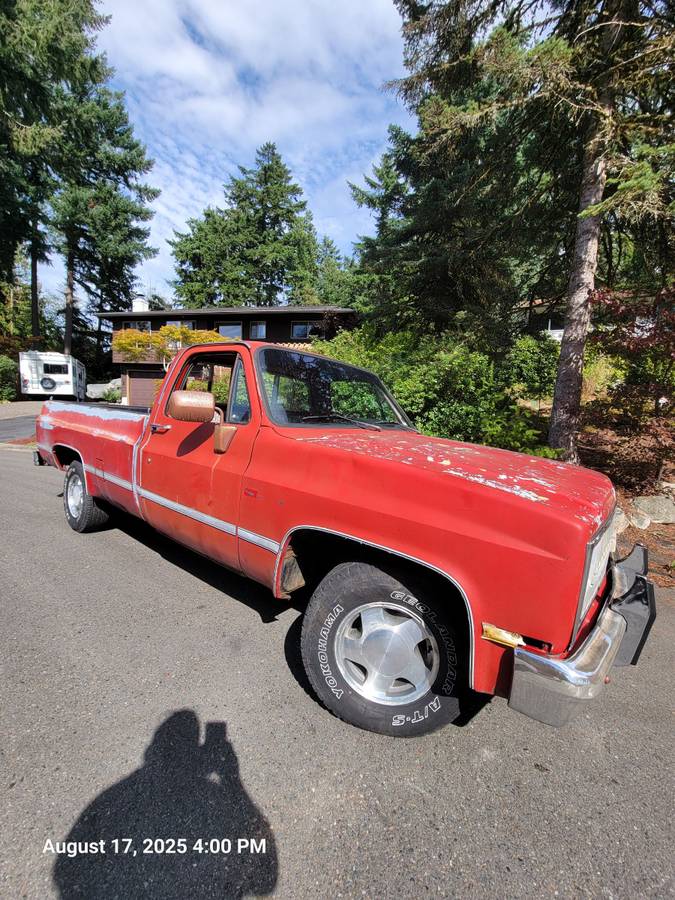 Chevrolet-silverado-1500-1981-15