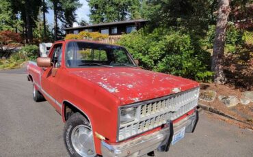 Chevrolet-silverado-1500-1981-16