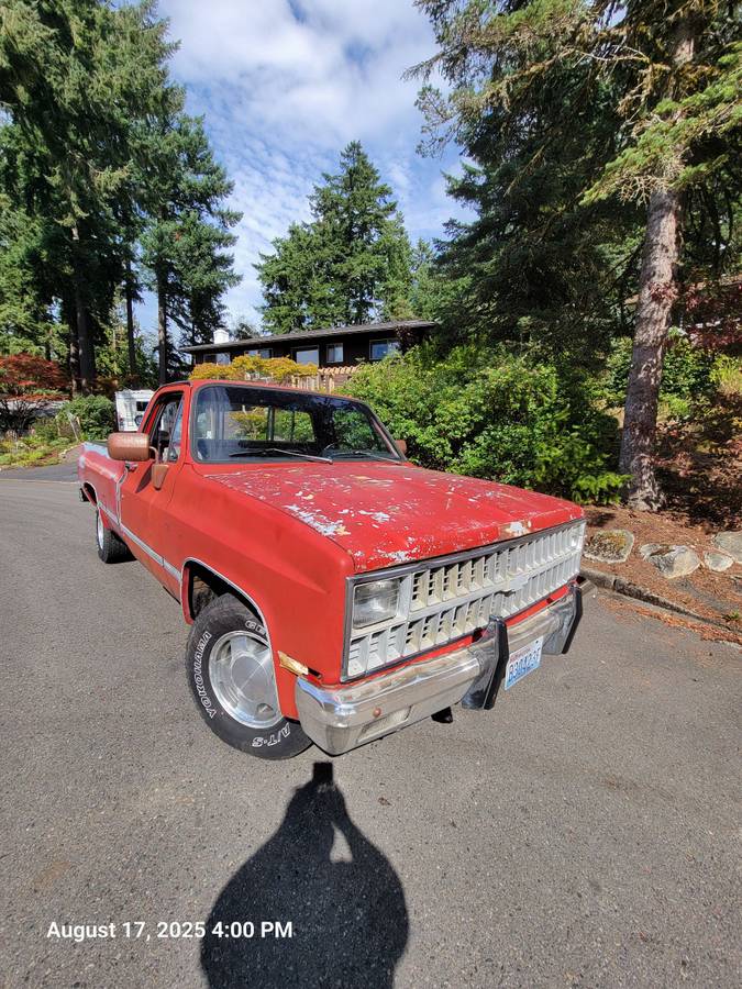 Chevrolet-silverado-1500-1981-16