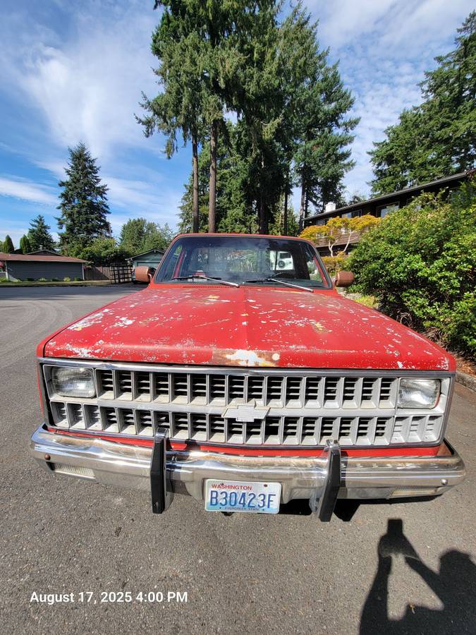 Chevrolet-silverado-1500-1981-2