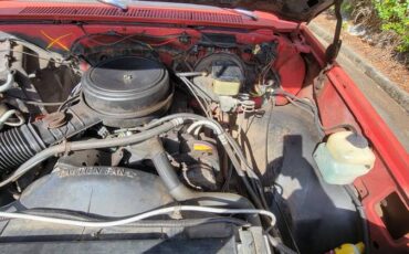 Chevrolet-silverado-1500-1981-5