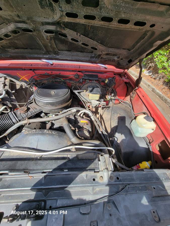 Chevrolet-silverado-1500-1981-5