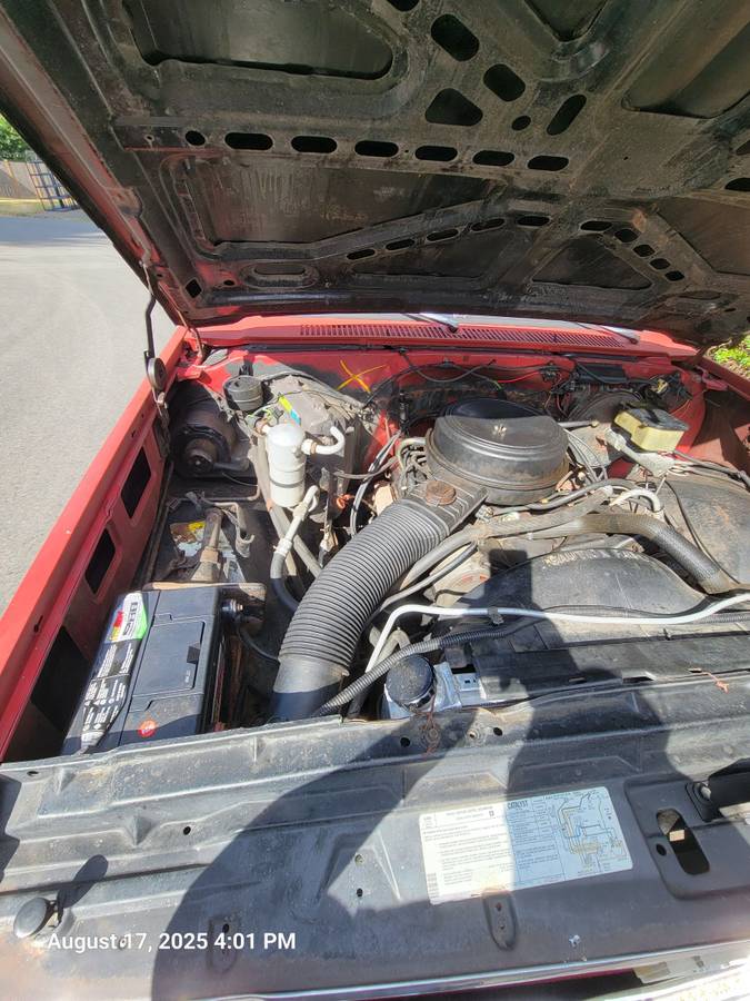 Chevrolet-silverado-1500-1981-6