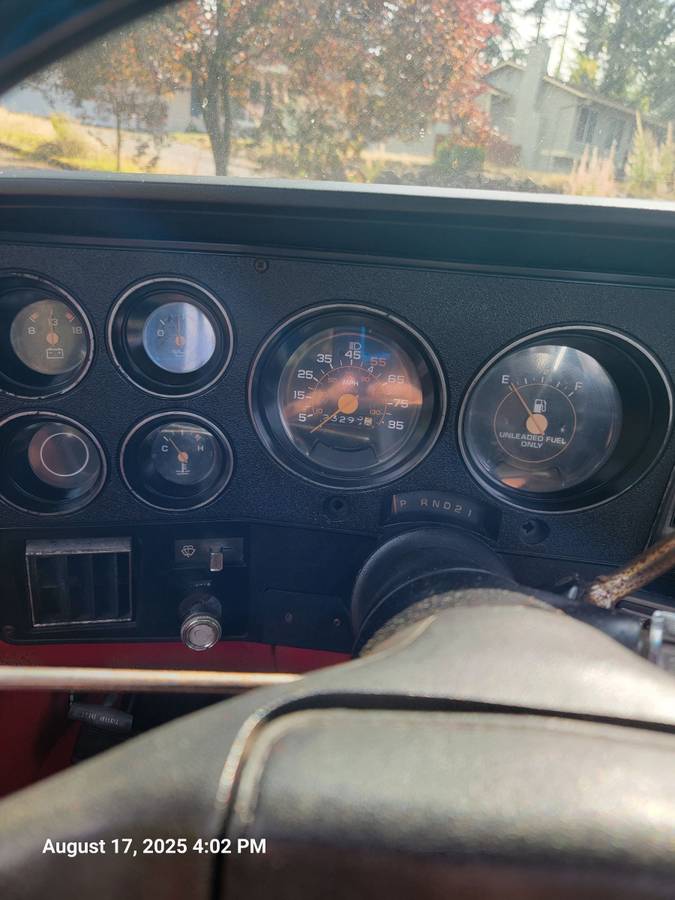 Chevrolet-silverado-1500-1981-7