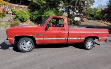 Chevrolet-silverado-1500-1981-9
