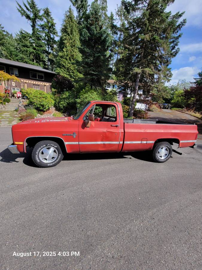 Chevrolet-silverado-1500-1981-9