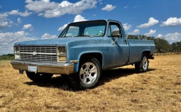 Chevrolet-silverado-1500-1983-12