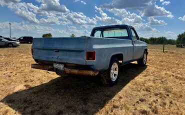 Chevrolet-silverado-1500-1983-3