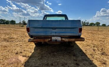 Chevrolet-silverado-1500-1983-4
