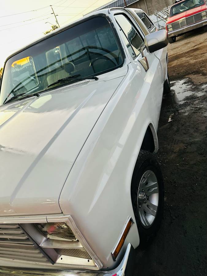 Chevrolet-silverado-1500-1983-white-11