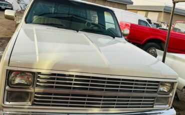 Chevrolet-silverado-1500-1983-white-2
