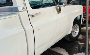 Chevrolet-silverado-1500-1983-white-3