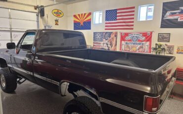 Chevrolet-silverado-1500-1984-5