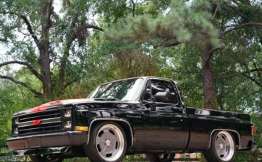 Chevrolet-silverado-1500-1985-black-8