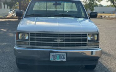 Chevrolet-silverado-1500-1989-white-1
