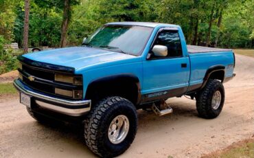 Chevrolet-silverado-1500-1993-blue-5