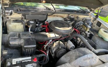 Chevrolet-silverado-1500-1994-white-10