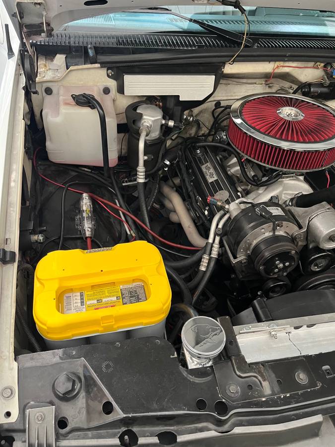 Chevrolet-silverado-1500-1994-white-4