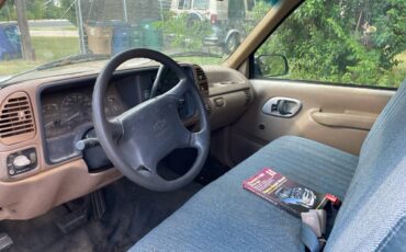 Chevrolet-silverado-1500-1995-brown-2