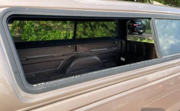 Chevrolet-silverado-1500-1995-brown-6