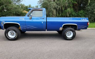 Chevrolet-silverado-1500-k20-1980-blue-10