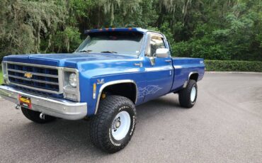 Chevrolet-silverado-1500-k20-1980-blue-20