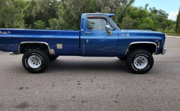 Chevrolet-silverado-1500-k20-1980-blue-7