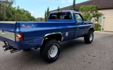 Chevrolet-silverado-1500-k20-1980-blue-8