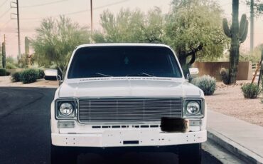 Chevrolet-silverado-1977-7