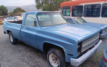 Chevrolet-silverado-1981-blue-2