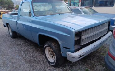 Chevrolet-silverado-1981-blue