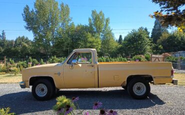 Chevrolet-silverado-1981-yellow-1