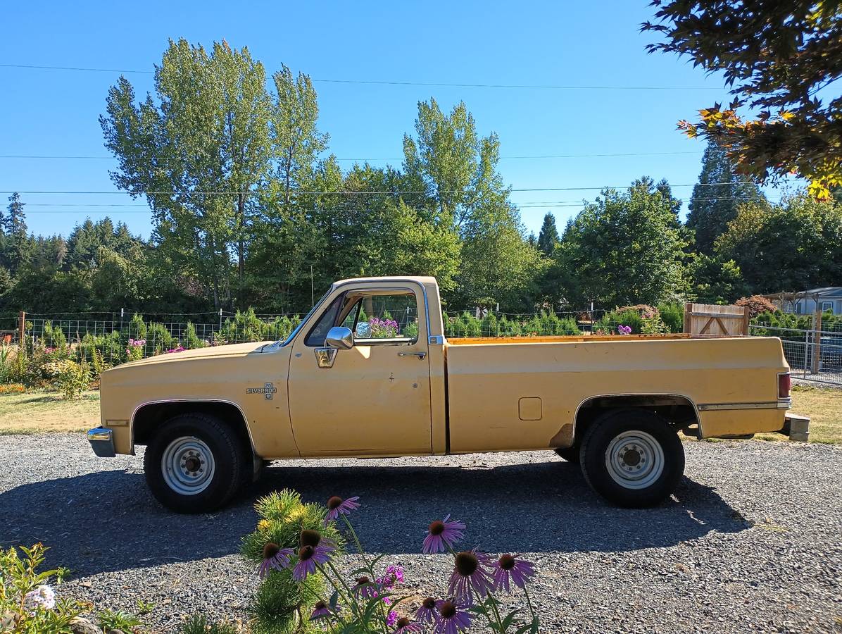 Chevrolet-silverado-1981-yellow-1