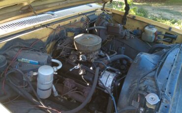 Chevrolet-silverado-1981-yellow-10