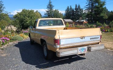 Chevrolet-silverado-1981-yellow-2