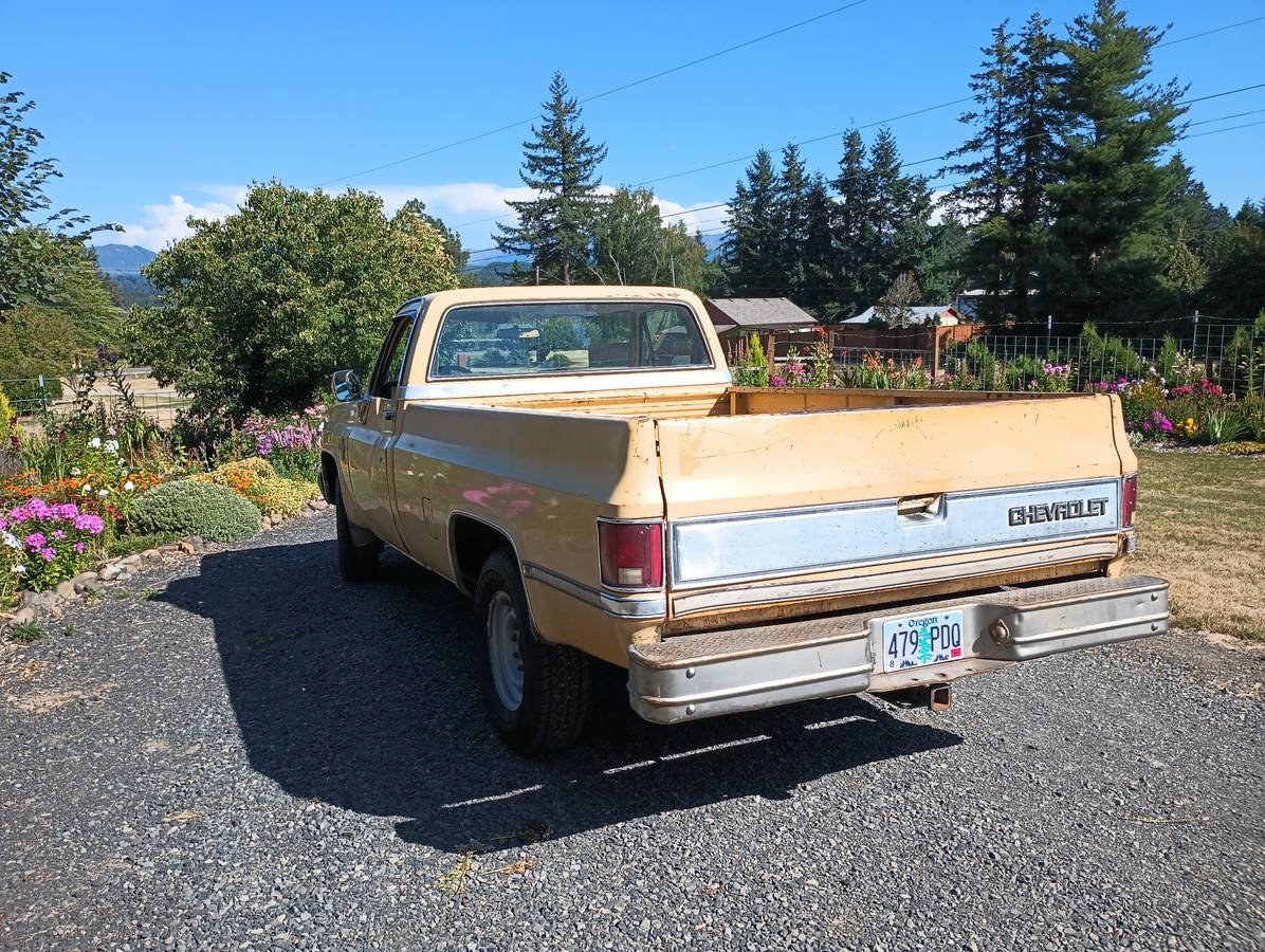 Chevrolet-silverado-1981-yellow-2