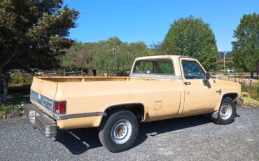 Chevrolet-silverado-1981-yellow-3