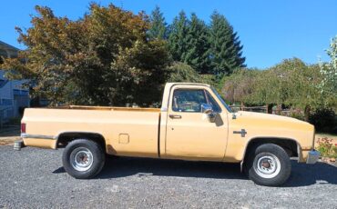 Chevrolet-silverado-1981-yellow