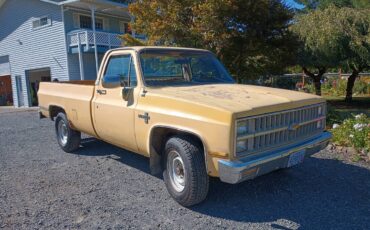 Chevrolet-silverado-1981-yellow-4