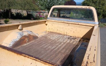 Chevrolet-silverado-1981-yellow-5