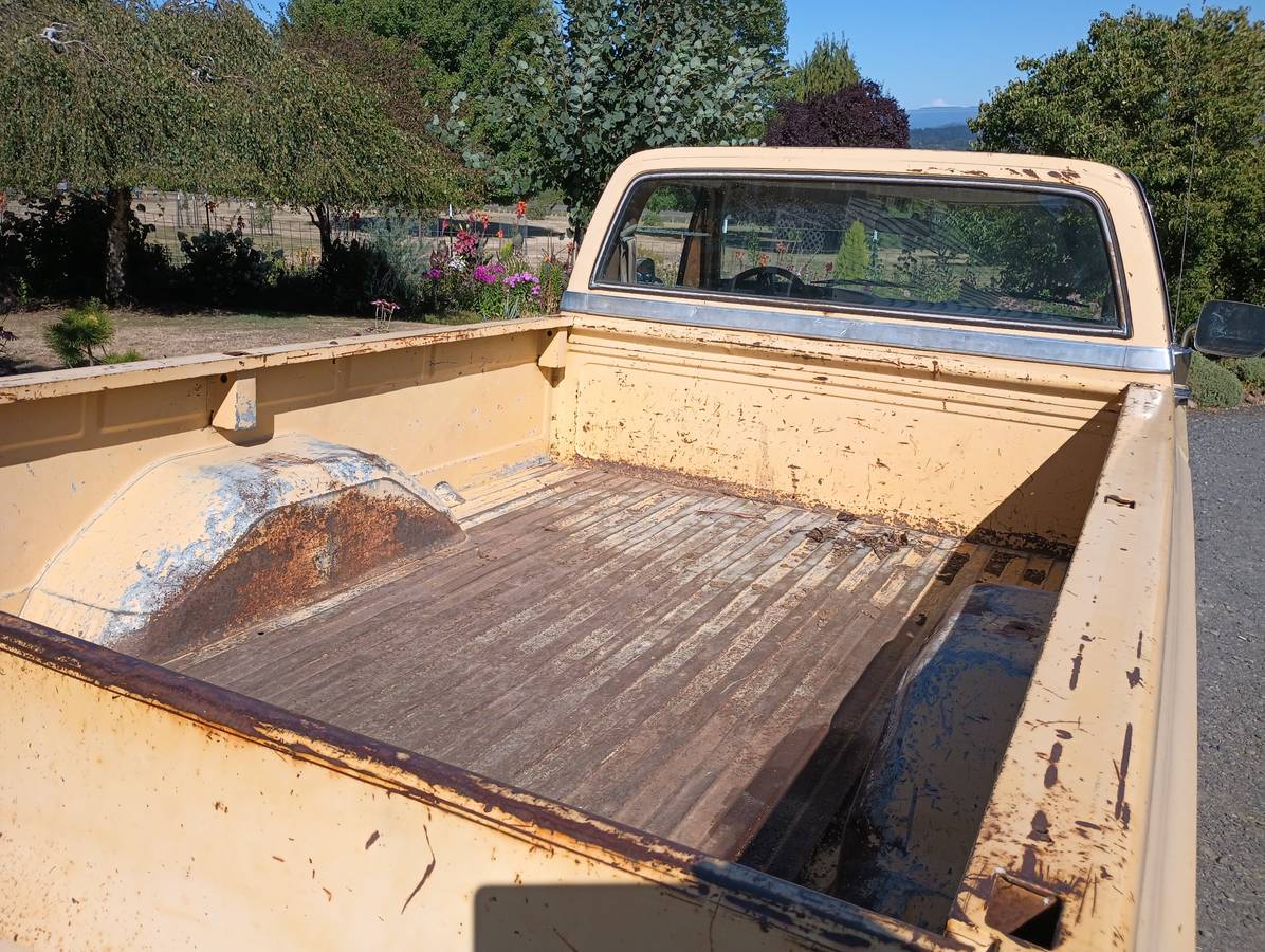 Chevrolet-silverado-1981-yellow-5