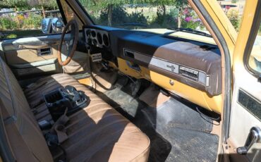 Chevrolet-silverado-1981-yellow-6