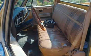 Chevrolet-silverado-1981-yellow-8
